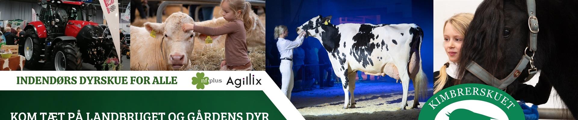 Dyrskuet Aars - Kimbrerskuet¤3. - 4. oktober i Messecenter Vesthimmerland